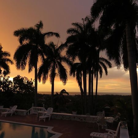 モンテゴ・ベイ The Retreat @ A Piece Of Paradise Bed & Breakfast エクステリア 写真